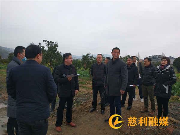 強強聯手 新春里謀新發(fā)展